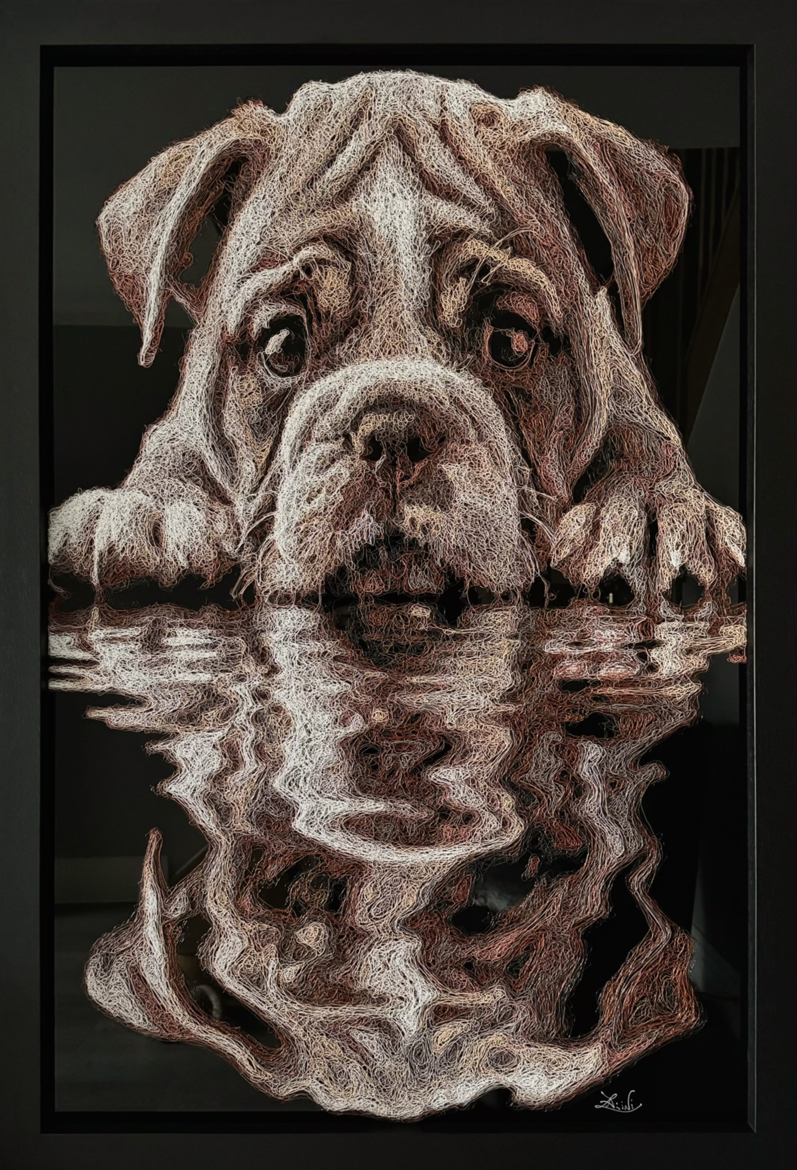 Poodle puppy portrait