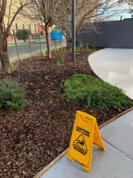 Gardening and Landscaping