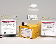 Анализ ДНК и РНК