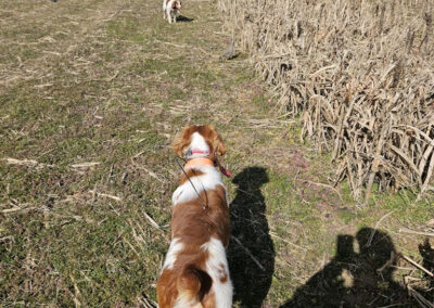 Freedom Fighter Outdoors Event