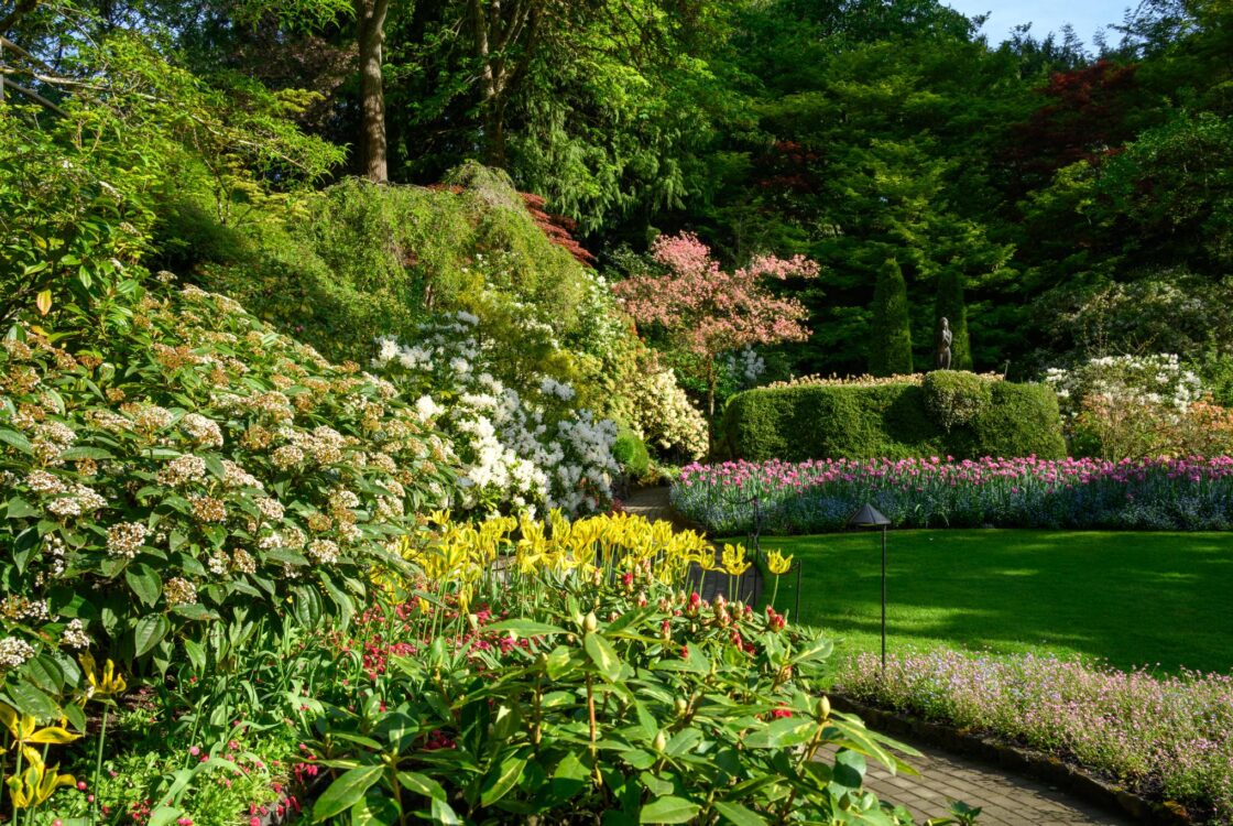 Jardin en contrebas