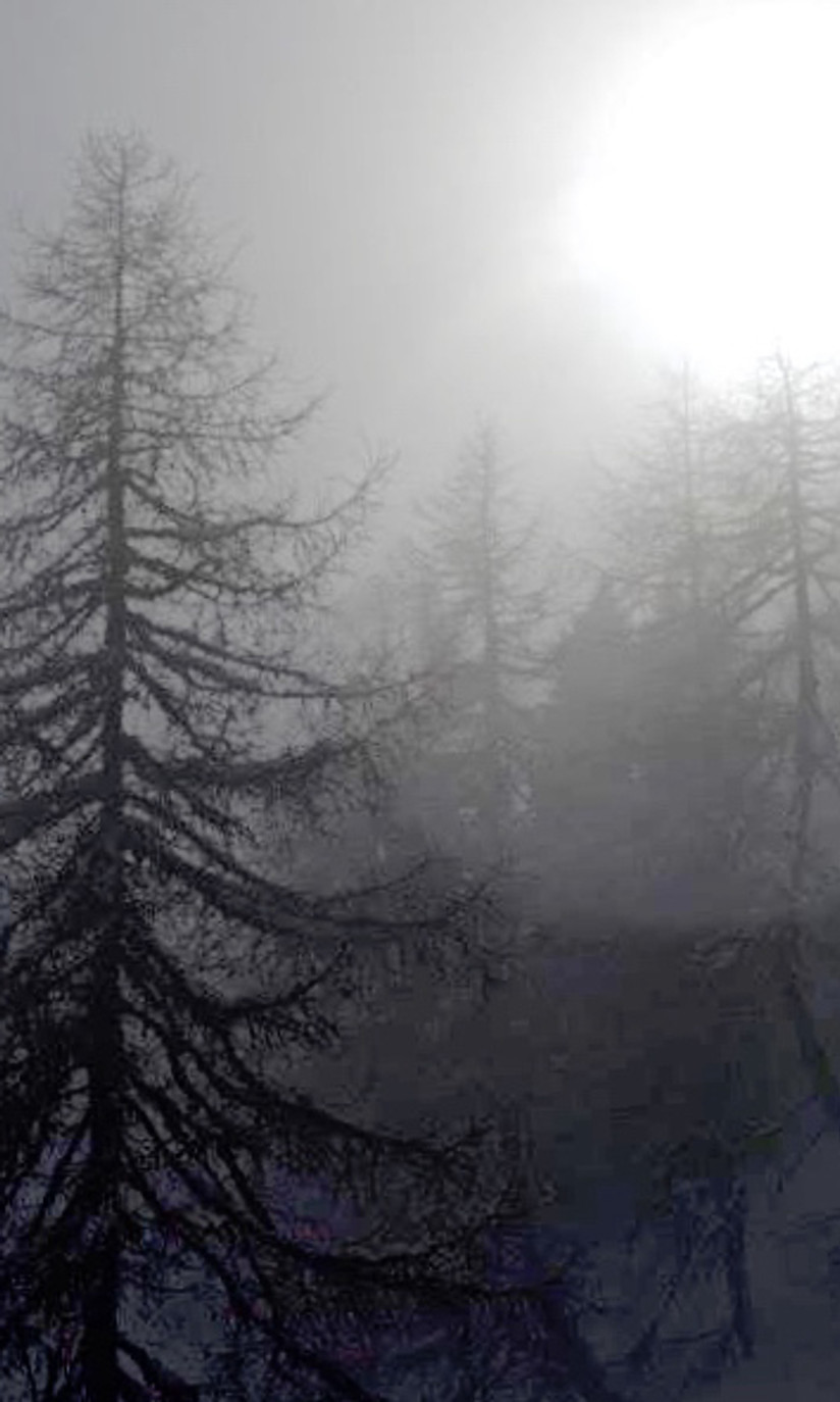 Cozy interior of Chalet la Bas