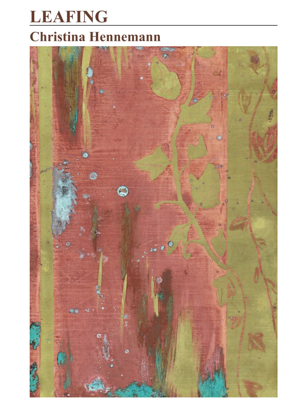 Birthmark book cover