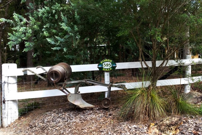 Australian Bushland Setting