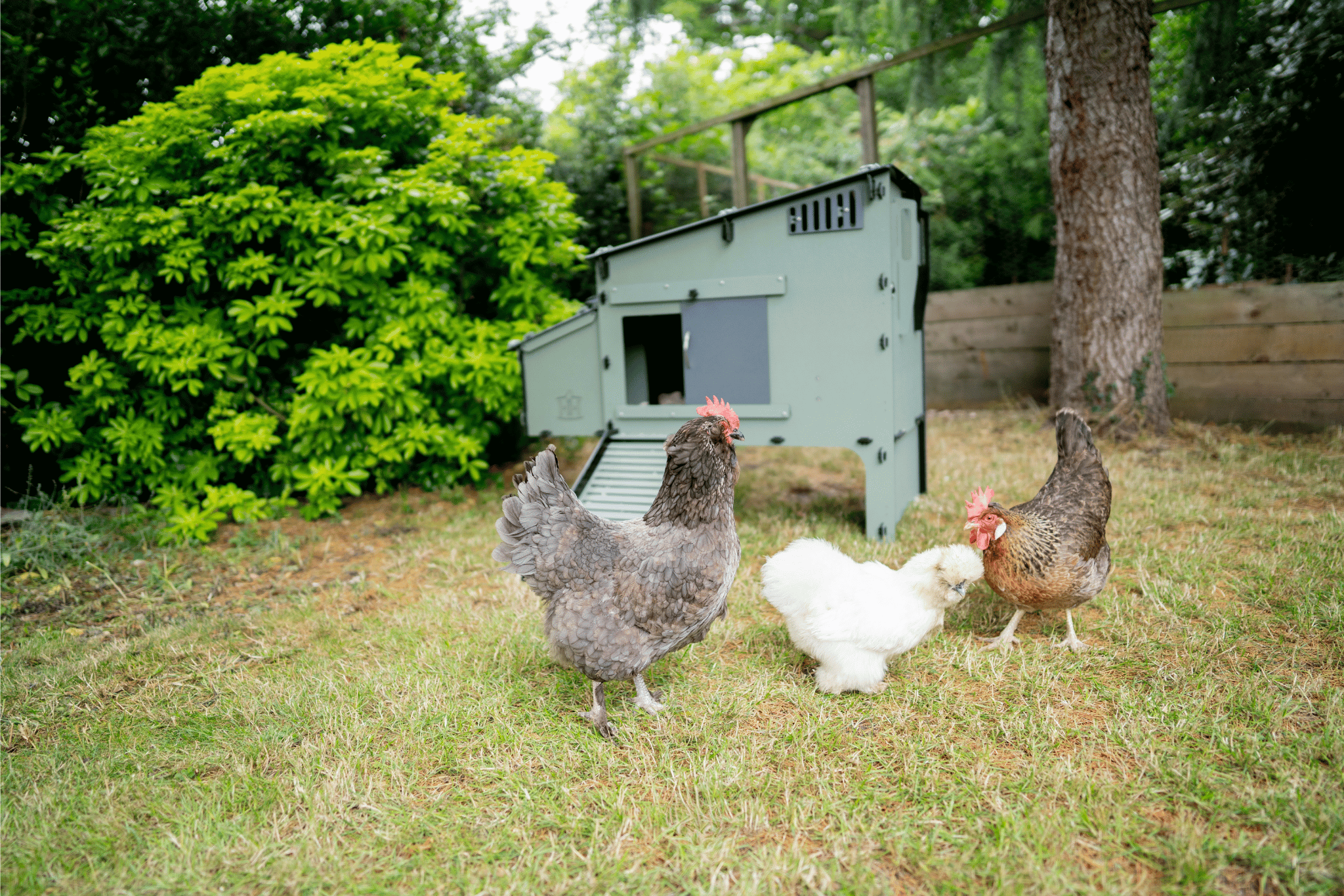 Basket of fresh colorful eggs