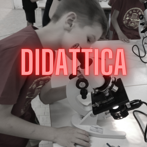 Icona Didattica Live