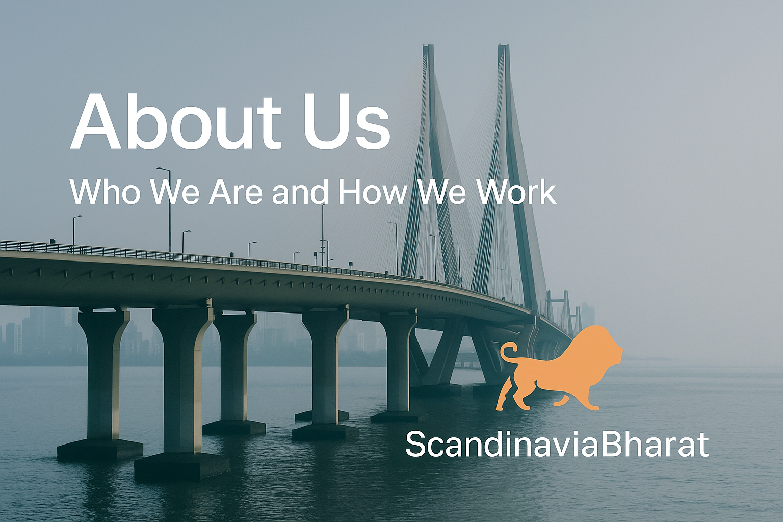 ScandinaviaBharat Strategic Meeting