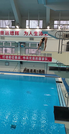 Diver performing a dive