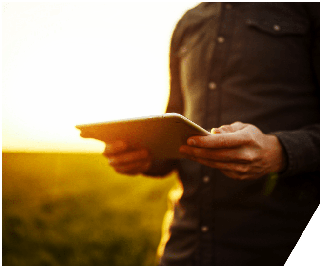 XBEE Enzym Technologie in Anwendung