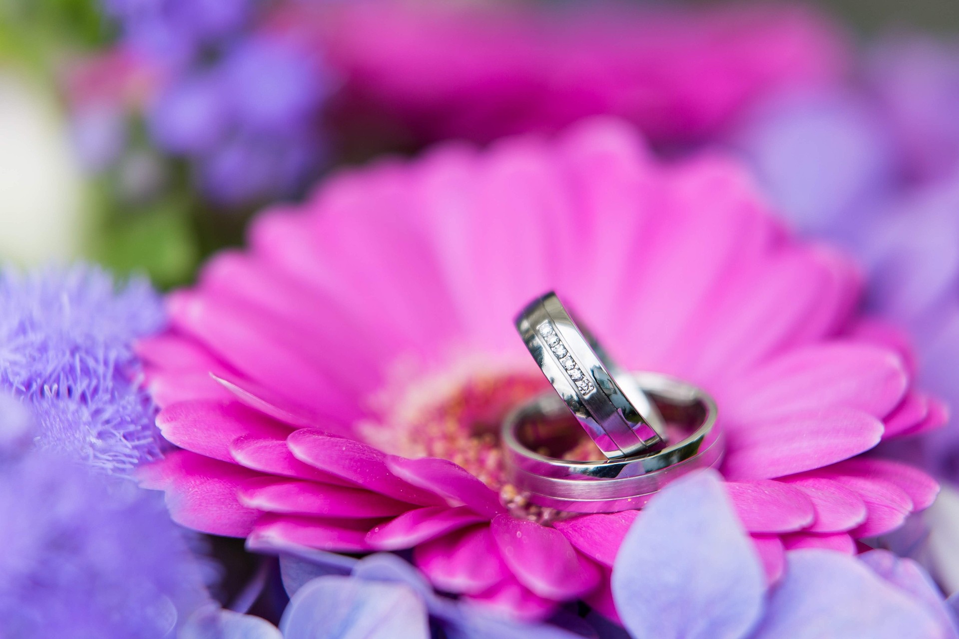 Svatební fotografie 3