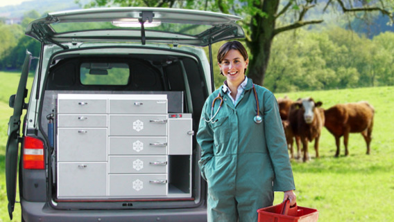 Mobile Tierklinik Ausbau