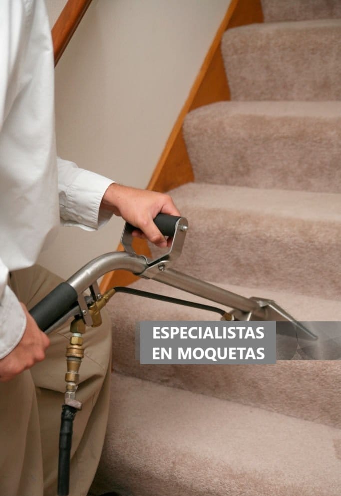 Limpieza Profunda de Alfombras