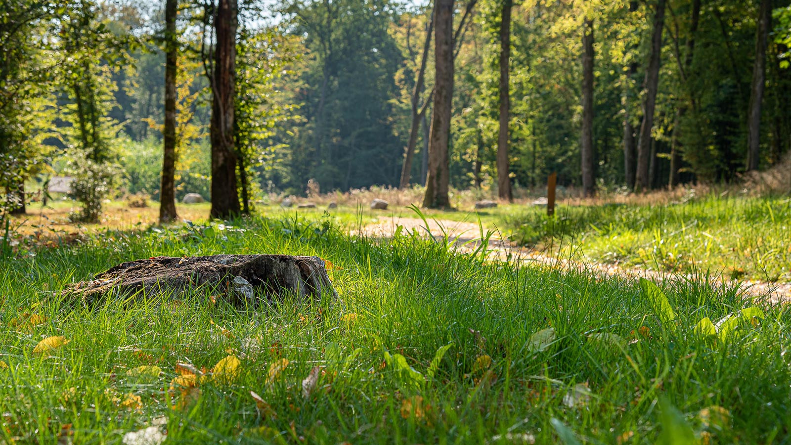 Vue d'une rue du village