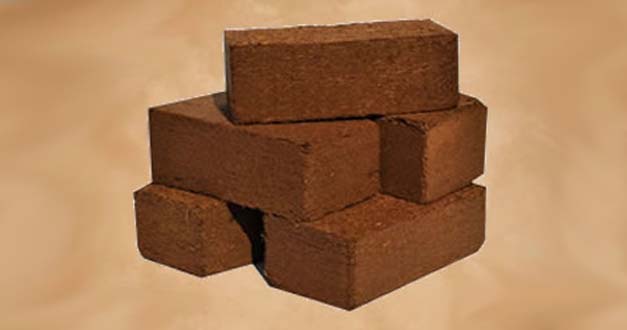 Coco Peat Briquette