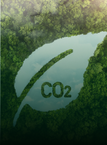 Carbon Credit