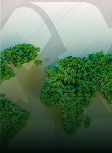 Natural Economic Zones