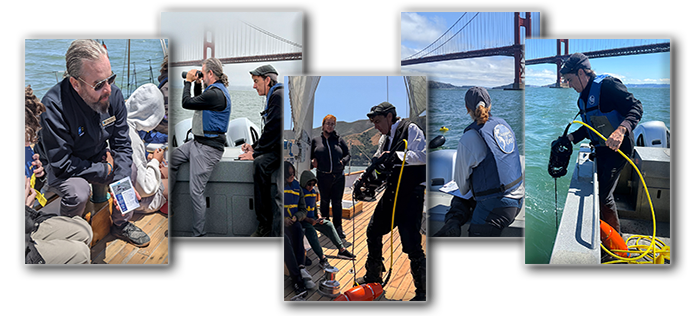 BayQuest research and wildlife montage