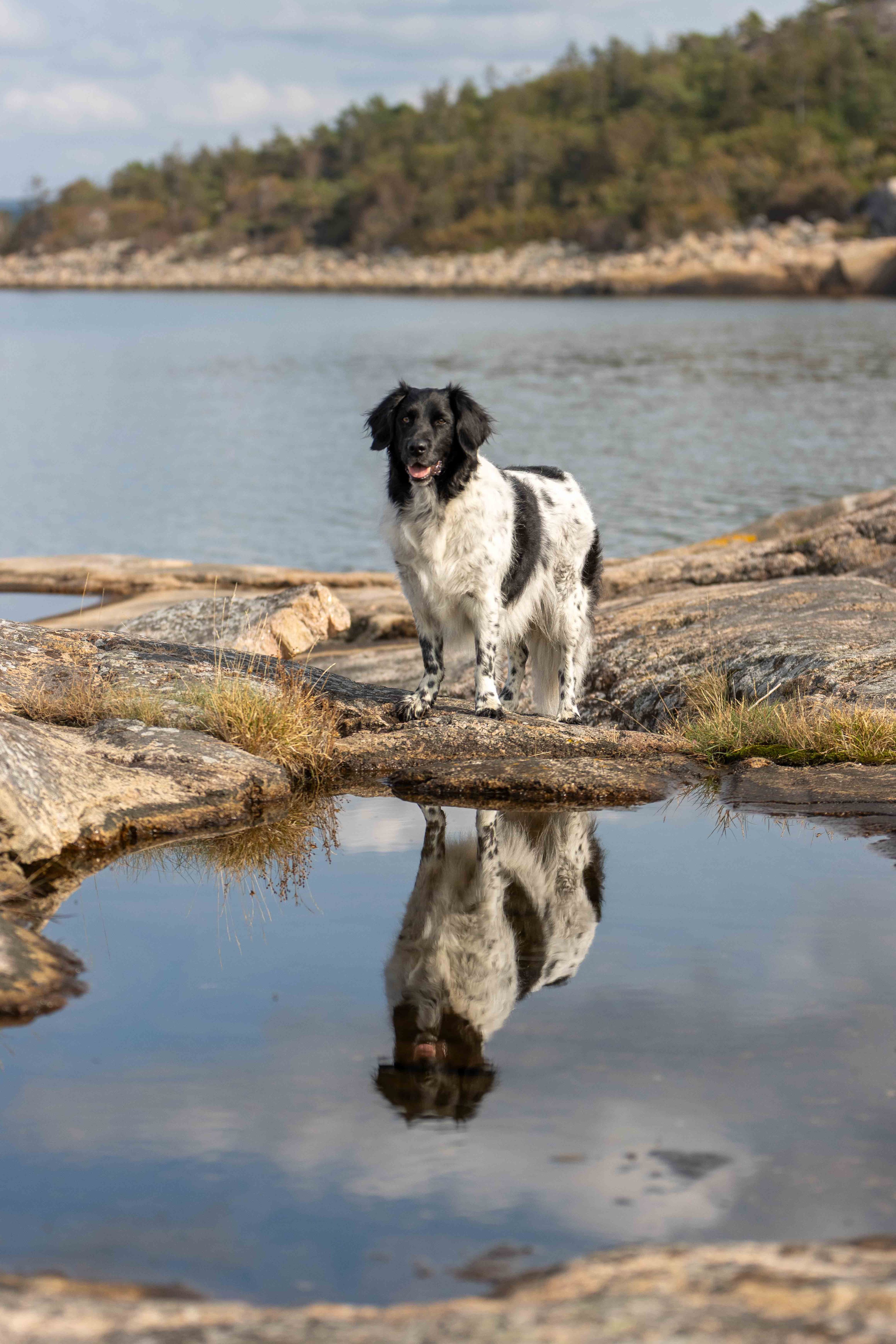 Family portrait with dog