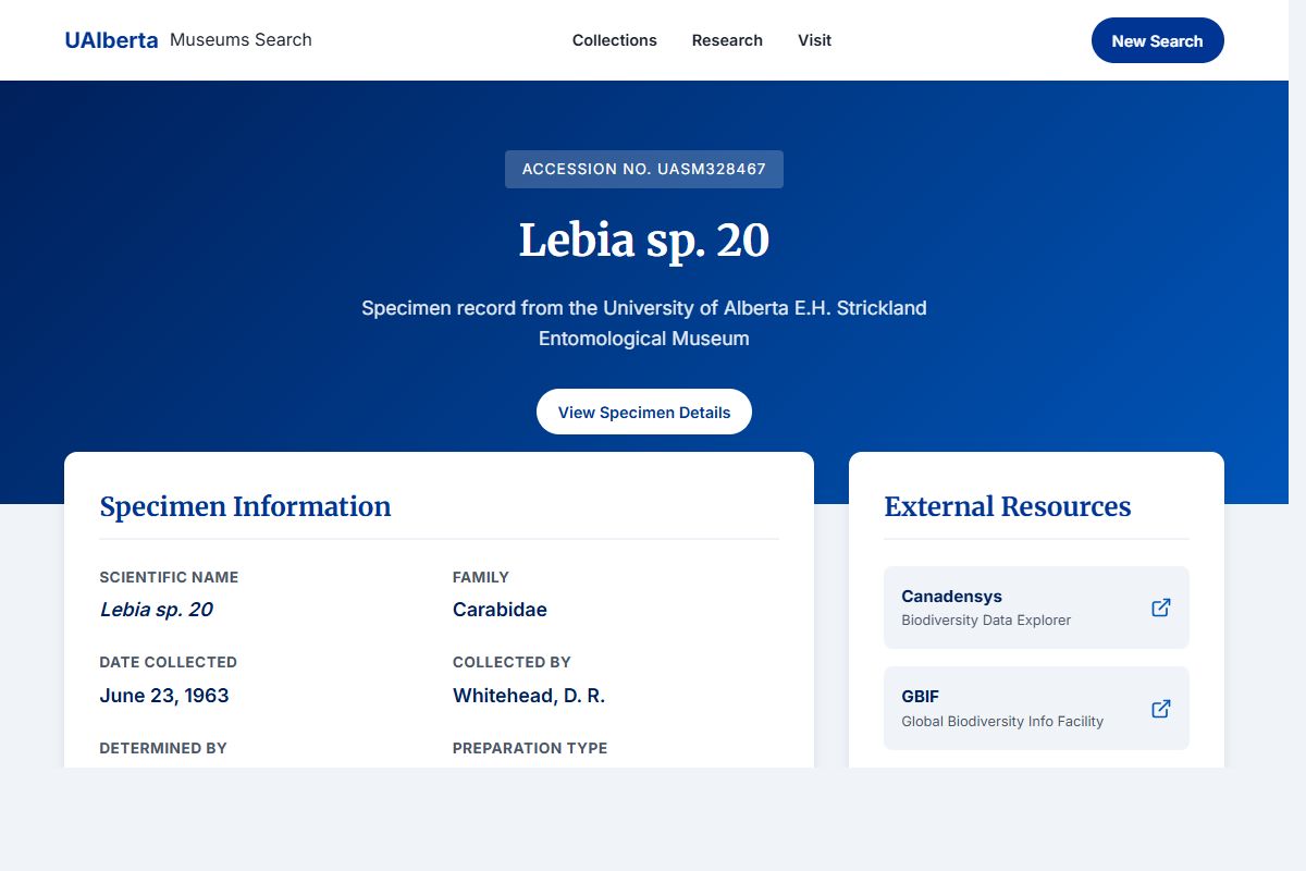 AI Redesign for example.com/