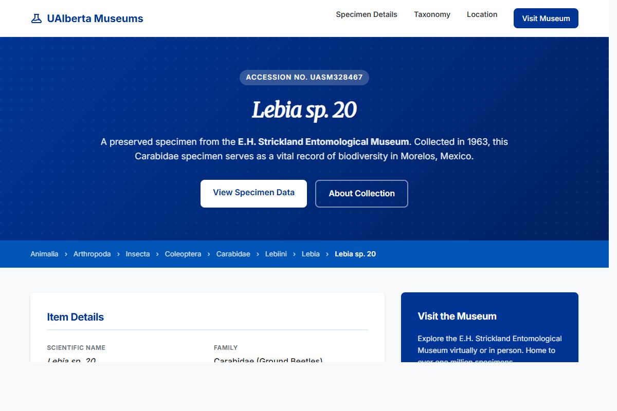 AI Redesign for example.com/