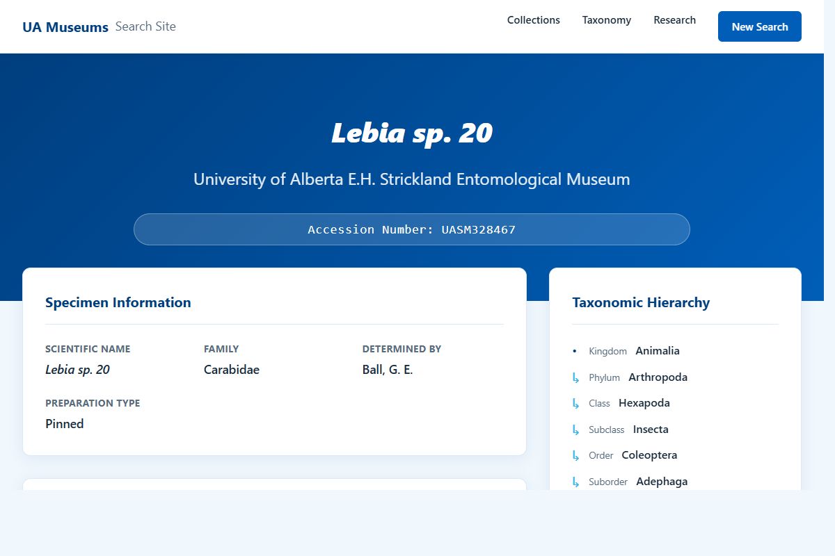 AI Redesign for example.com/