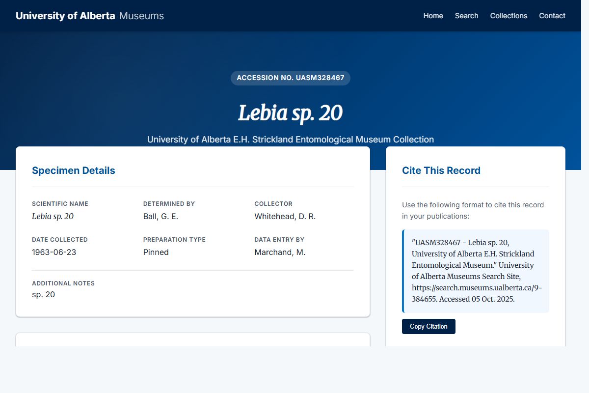 AI Redesign for example.com/