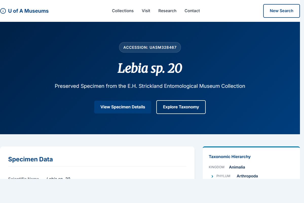 AI Redesign for example.com/