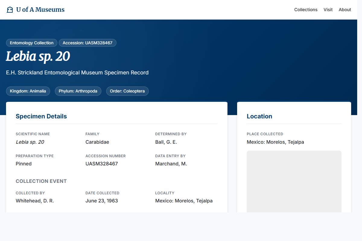 AI Redesign for example.com/