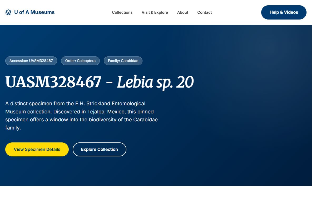 AI Redesign for example.com/