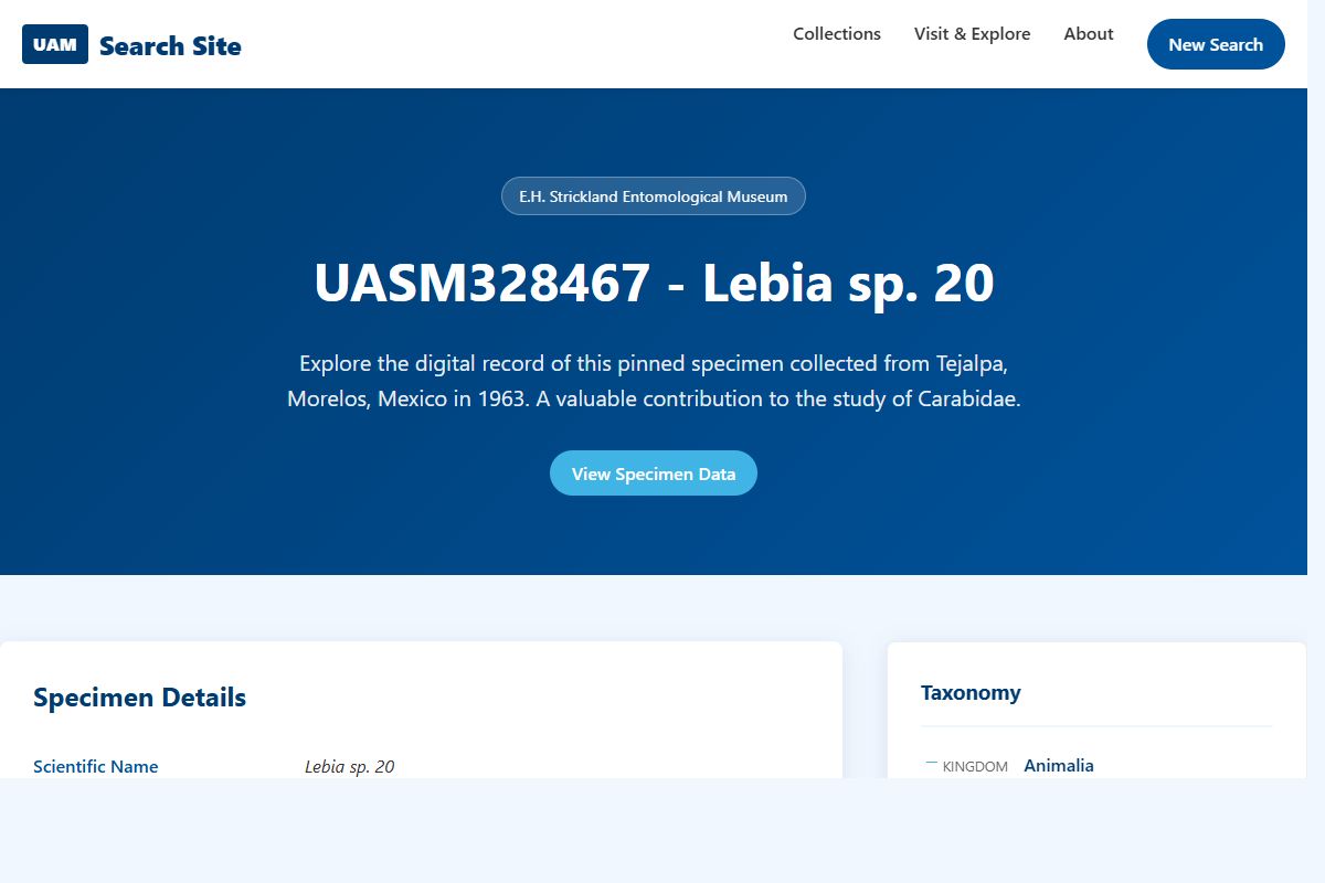 AI Redesign for example.com/