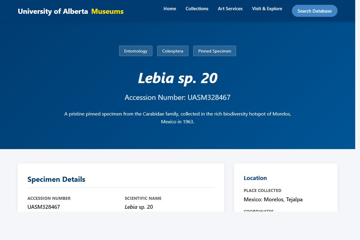 AI Redesign for example.com/