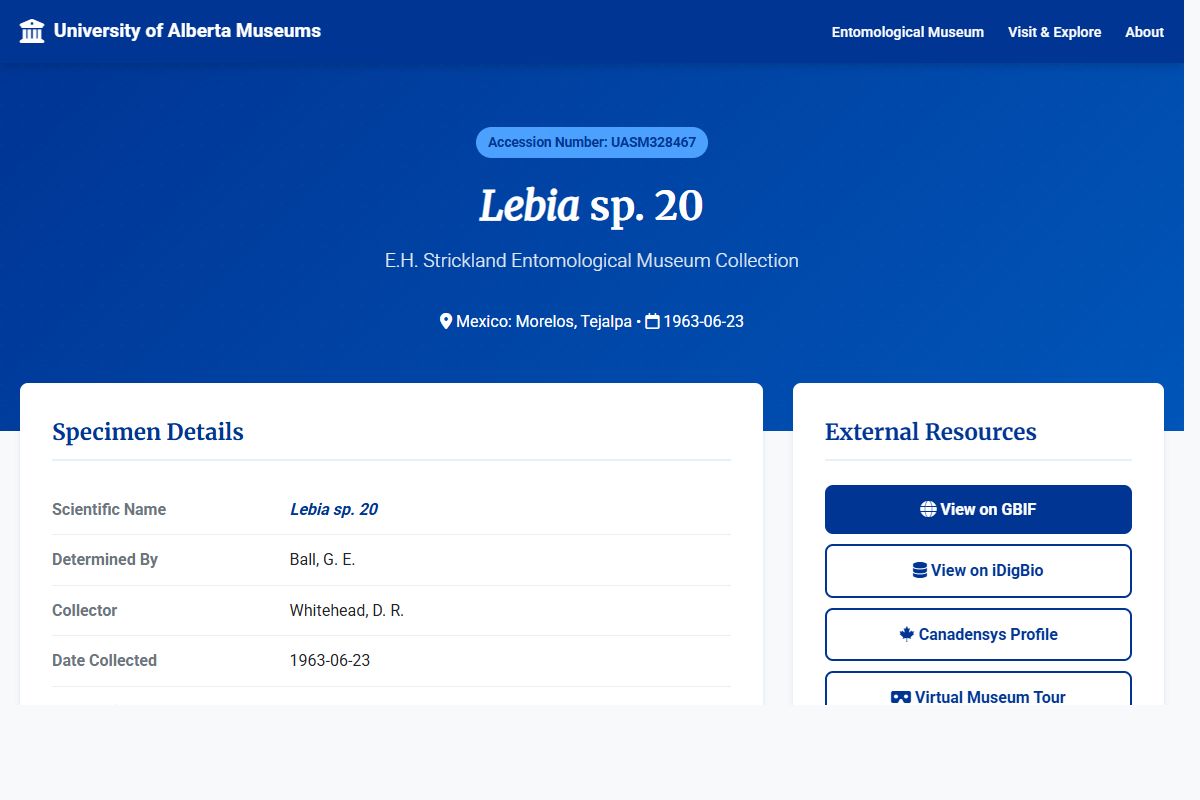 AI Redesign for example.com/