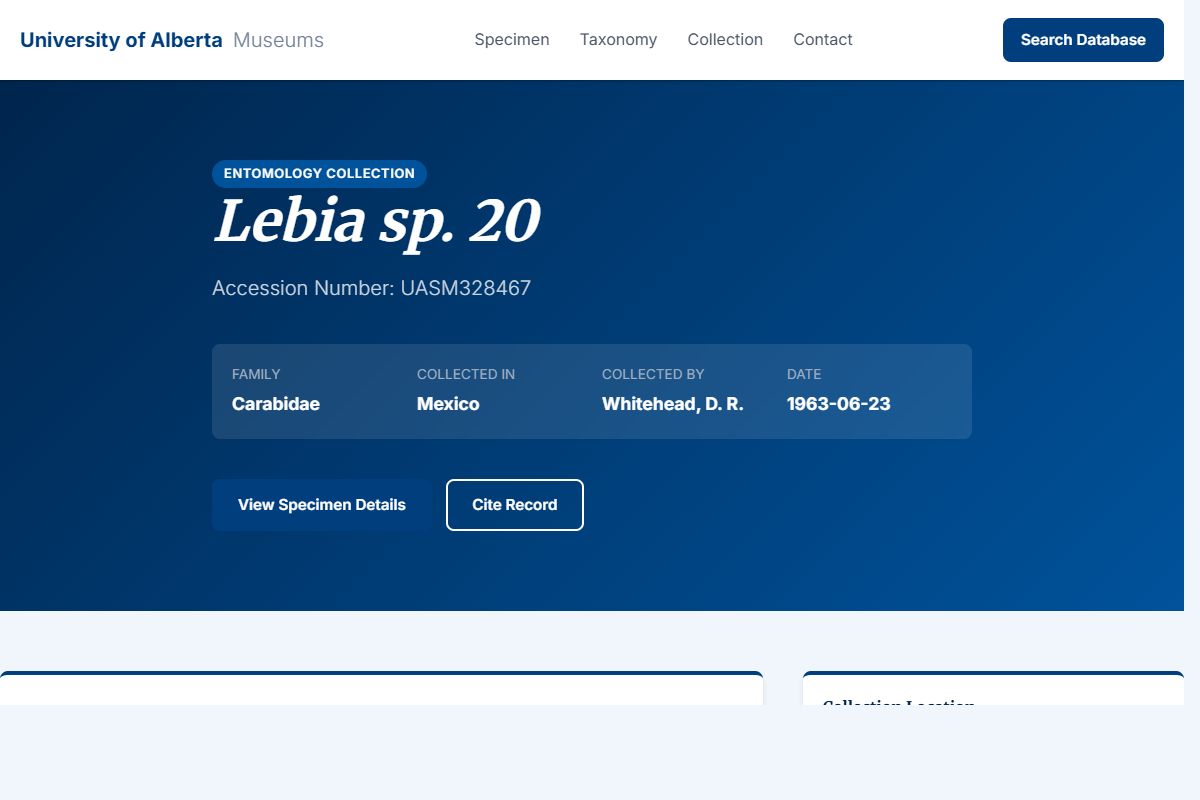 AI Redesign for example.com/