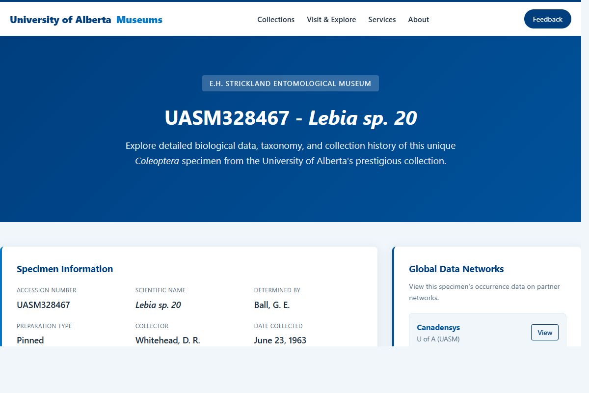 AI Redesign for example.com/